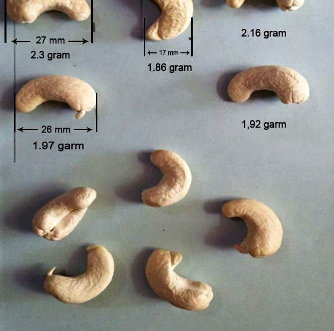 W240 cashew kernels